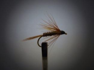 Size 10 Pheasant Tail Wet